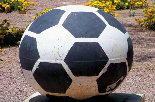 Software para material deportivo